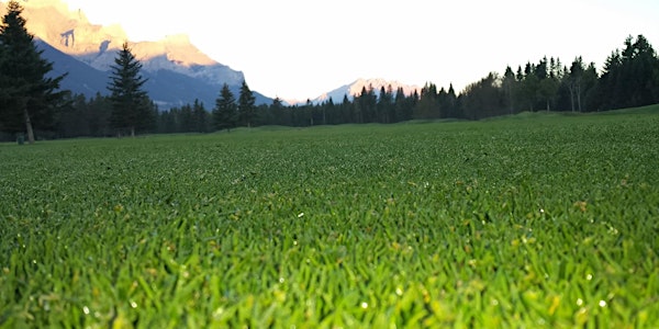 2016 Alberta Treasury Management Charity Classic