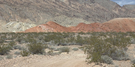 Las Vegas Backcountry Trail 50K, Marathon, 1/2, 10K & 5K primary image