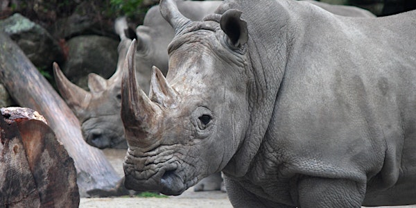 2022 Rhino Encounters (Old registration page)
