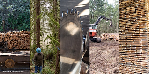 How to Manage a Timber Sale