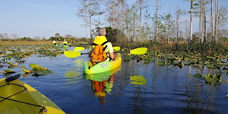 Afternoon Paddle on the Loxahatchee Blueway tickets