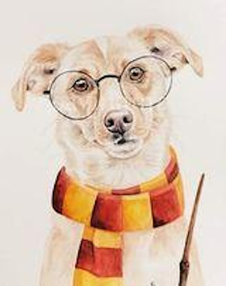 
		Paint your Pet (Harry Potter theme options) image
