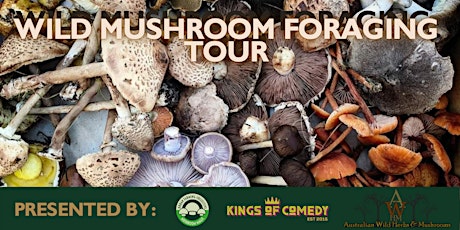 Wild Mushroom Foraging Tour 1 tickets