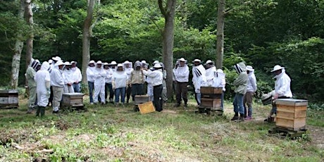 Introduction to Beekeeping tickets