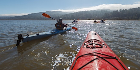 Full Day Kayak and Hike on Tomales Bay tickets