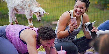 Goat Yoga Houston- Woodlands Resort tickets