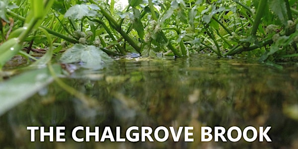 The Chalgrove Brook Film Screening & Q&A event