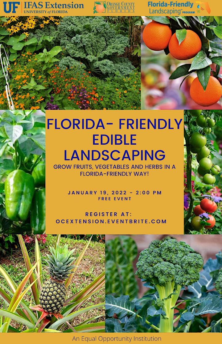 
		Florida-Friendly Edible Landscaping Webinar image
