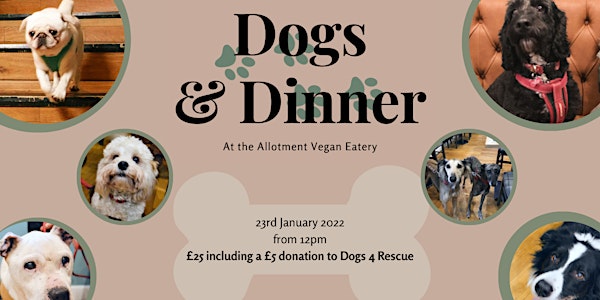 Dogs & Dinner at Allotment Vegan Eatery