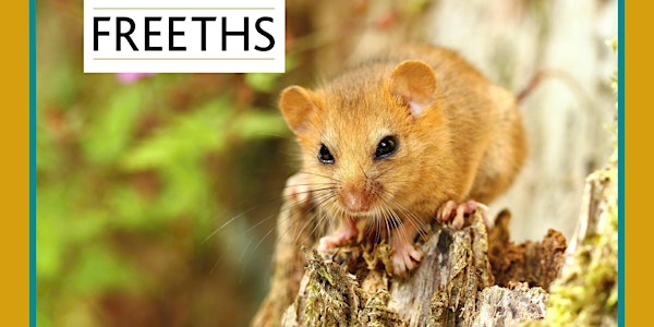 European Protected Species Law: Freeths LLP Live Webinar