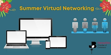 Summer Virtual Networking