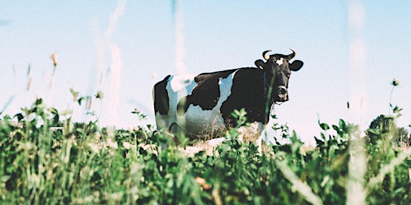 Sustainable, profitable and welfare-friendly dairy farming in the EU