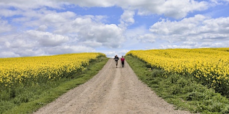 Free Webinar | Walking the Camino During the Holy Year 2022!