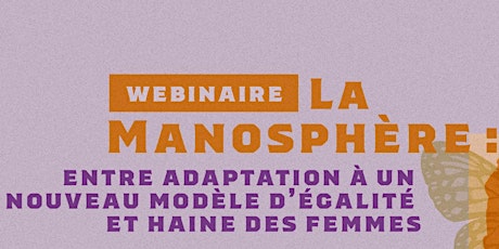 La Manosphère: adaptation à un nouveau modèle d'égalité et haine des femmes