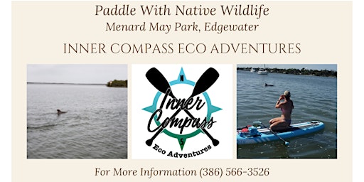 Paddle With Native Wildlife
