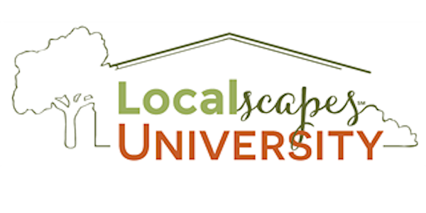 Localscapes University