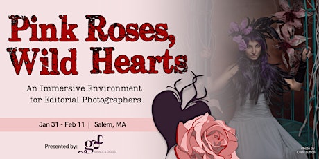 Pink Roses, Wild Hearts: Immersive Environment for Editorial Photographers