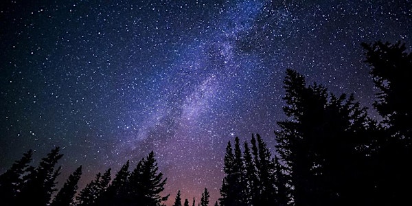 Party Under the Stars