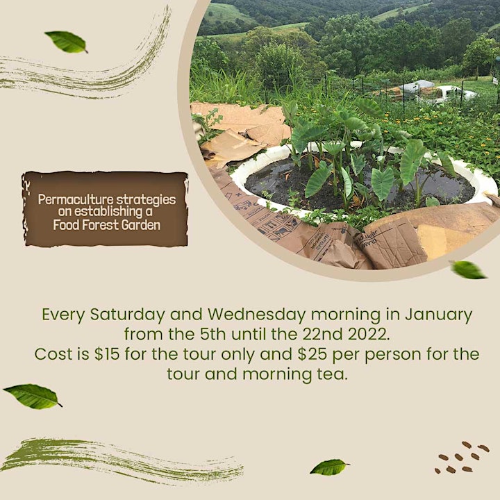 
		SOLD OUT - Food Forest Garden Tour -Black Mountain Cooroy image
