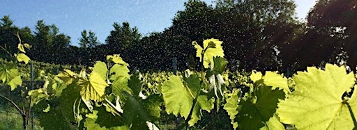 Collection image for Biodynamic Winegrowing Workshops