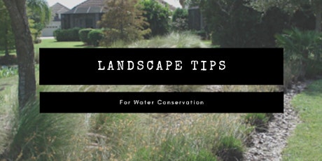 Design Your Landscape to Your Site Conditions
