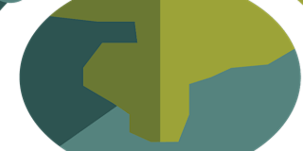 The International Society for the Social Studies Annual Conference 2022