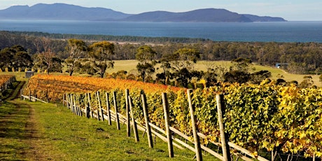 Alternative Australia & New Zealand Wine Tasting tickets