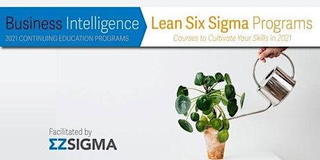 Lean Six Sigma Program Information Session - December 20 2021 primary image