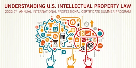 Understanding U.S. Intellectual Property Law primary image