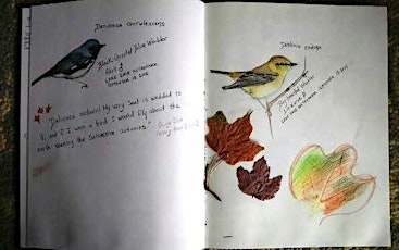 Winter Nature Journaling tickets