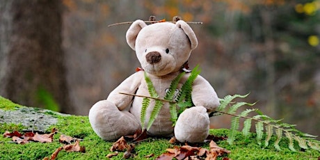 Teddy bear camping trip (Toddler Time) tickets