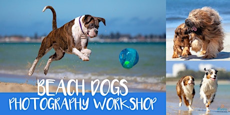 Beach Dogs Photography Workshop (Jan 29, 2022) tickets