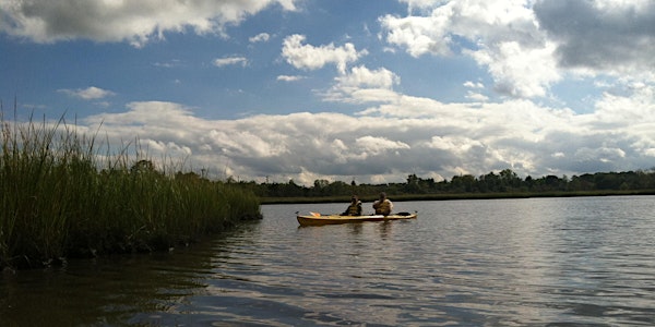 Kayak Freshkills Park