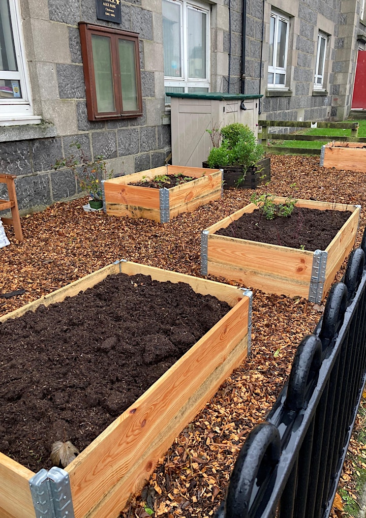 'Keep Growing Aberdeen' plant & seed share event image