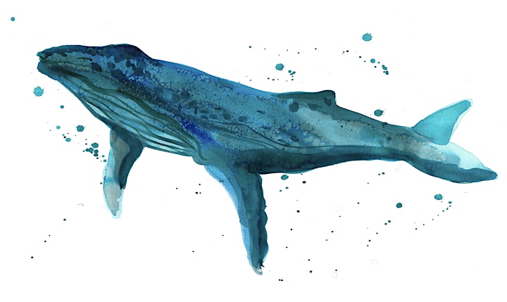 Watercolour Whales and Sharks(online class) image