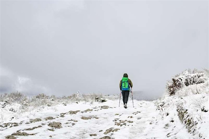 Free Webinar: Autumn and Winter Camino de Santiago | Tips From The Experts! image
