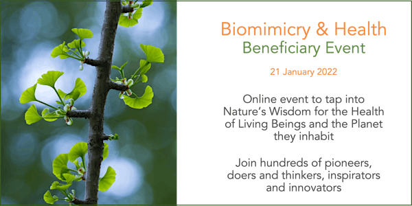 Biomimicry & Health
