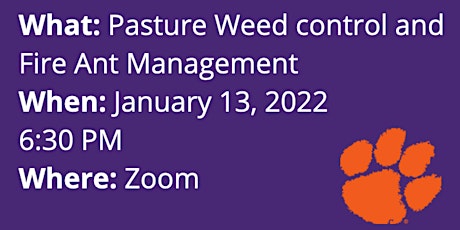 Pasture Weed Control and Fire Ant Management primary image