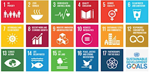 Sustainable Development Goal Achieved primary image