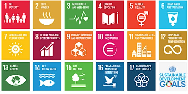 Sustainable Development Goal Achieved