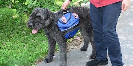 Service Dog Training (What you need to know) - Springfield June 18, 2016 primary image