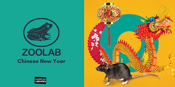 Zoolab: Chinese New Year