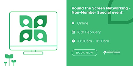 Round the Screen Networking - Non-Member Special event! tickets