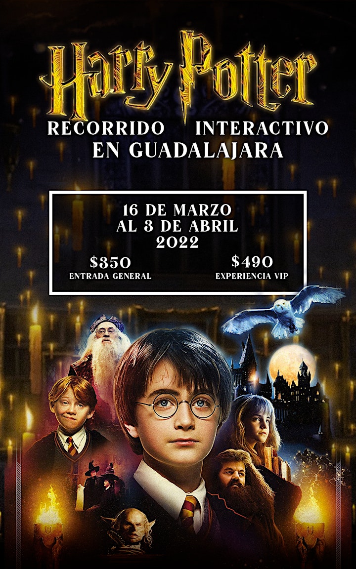 Imagen de El Palacio de las Vacas presenta: Harry Potter, nuevas fechas