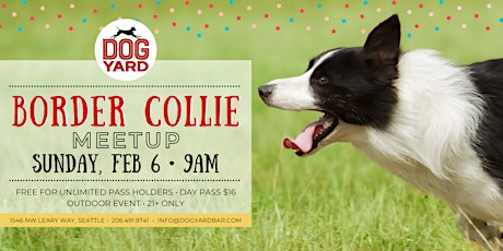 Border Collie Meetup at the Dog Yard tickets