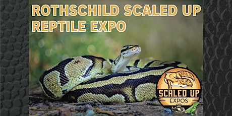 Rothschild Scaled Up Reptile Expo 6-5-2022 tickets
