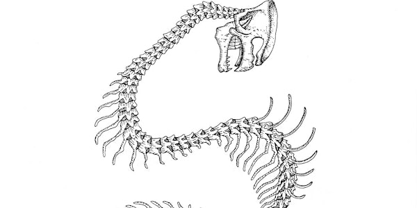 Anatomy of Letters - Ausstellungseröffnung