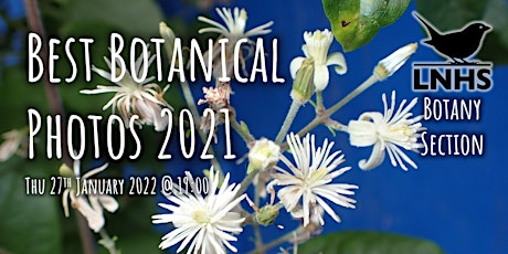 Best Botanical Photos of 2021 tickets