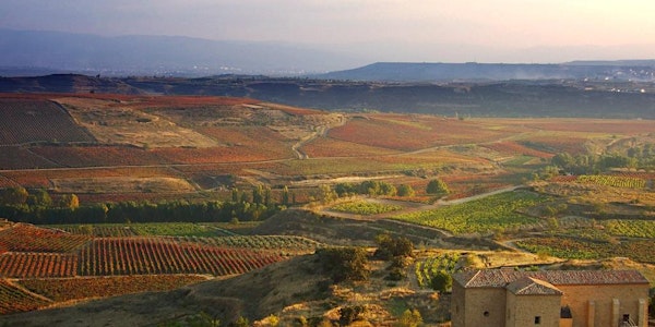 A Discovery Tour of Spanish Wine