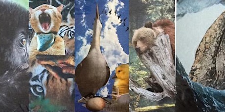 SoulCollage® Salon: Drumming Up Your Companions primary image